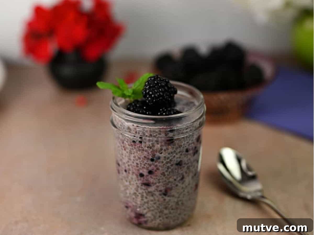 22 Flavorful Chia Seed Recipes: Breakfast, Snacks and Desserts 3 Blackberry Chia Seed Pudding