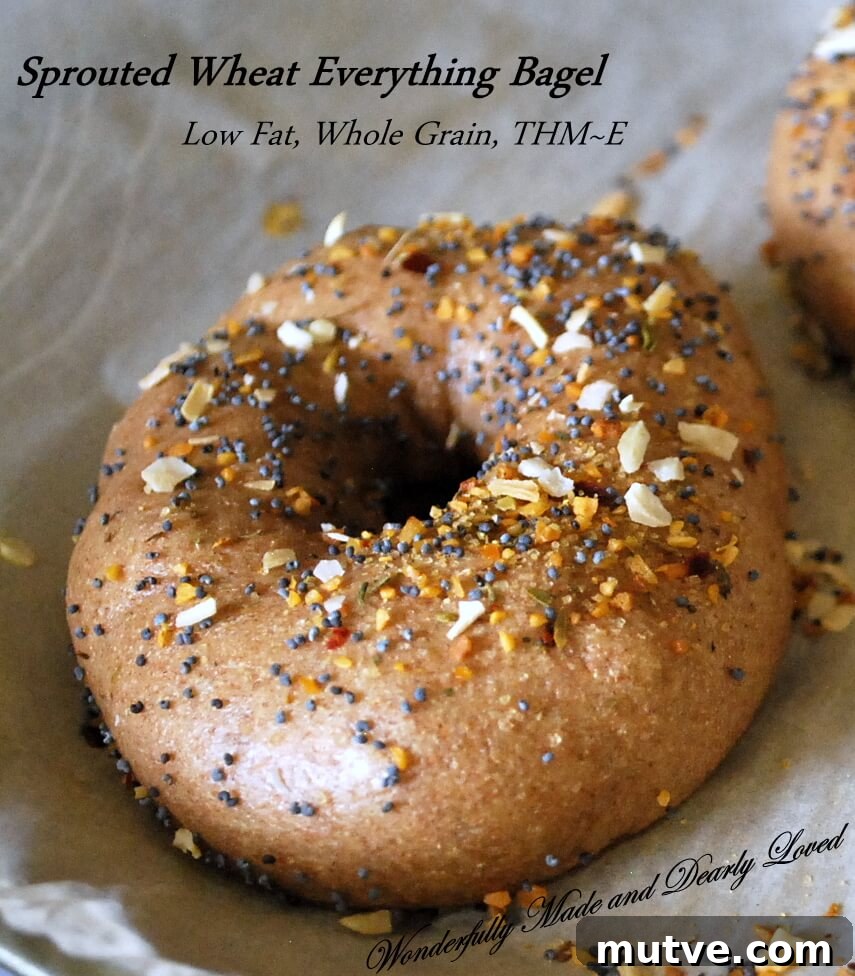 How to Make 5-Ingredient Sprouted Bagels 2 Sprouted Wheat Bagels, made from Sprouted Wheat Dough