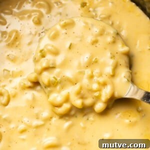 extreme close-up of a ladle with macaroni and cheese soup