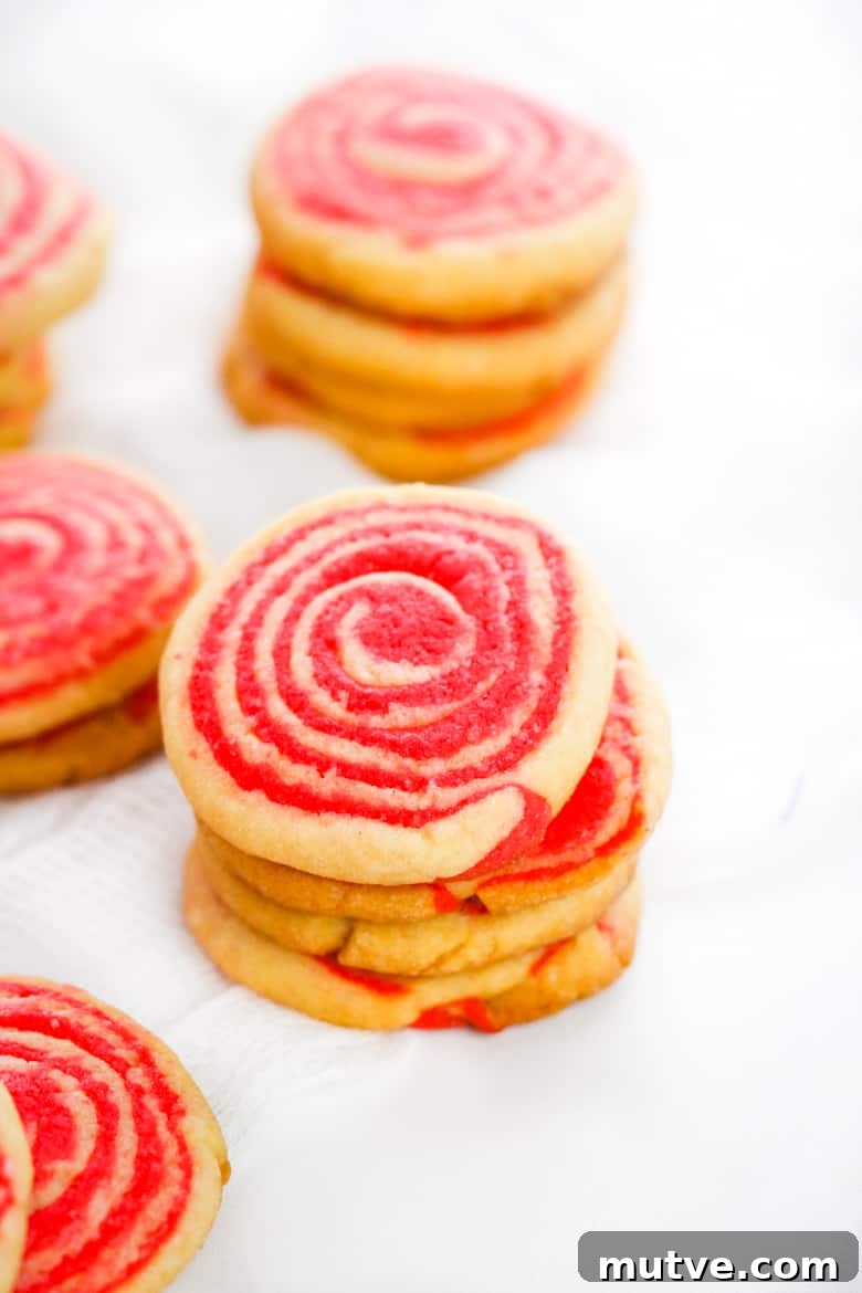 Festive Peppermint Pinwheel Cookies Recipe 2 Christmas Peppermint Pinwheel Cookies