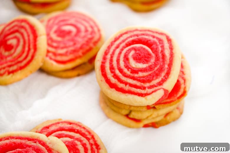 Festive Peppermint Pinwheel Cookies Recipe 3 Christmas Pinwheel Cookies