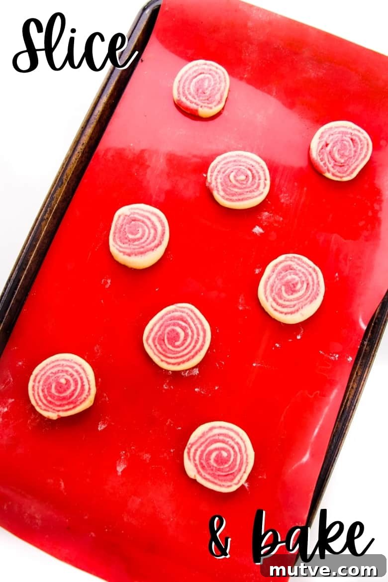 Festive Peppermint Pinwheel Cookies Recipe 5 Slice and bake cookies