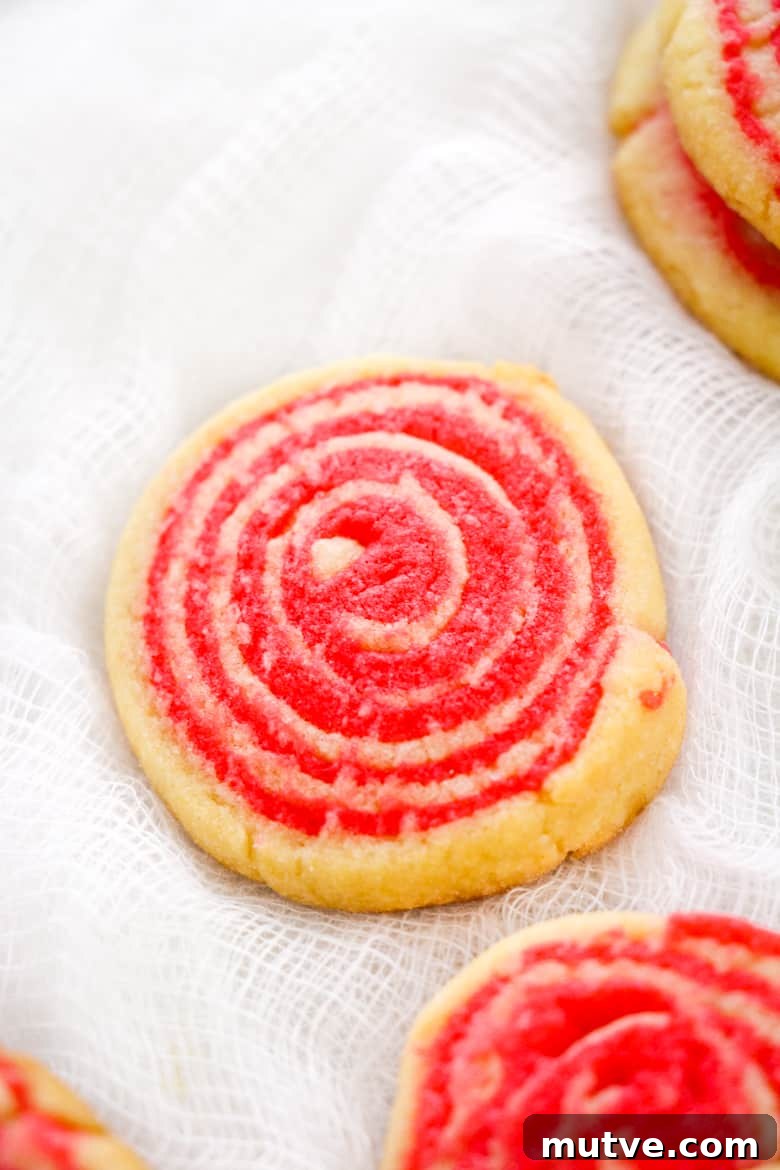 Festive Peppermint Pinwheel Cookies Recipe 6 Peppermint Swirl Cookies