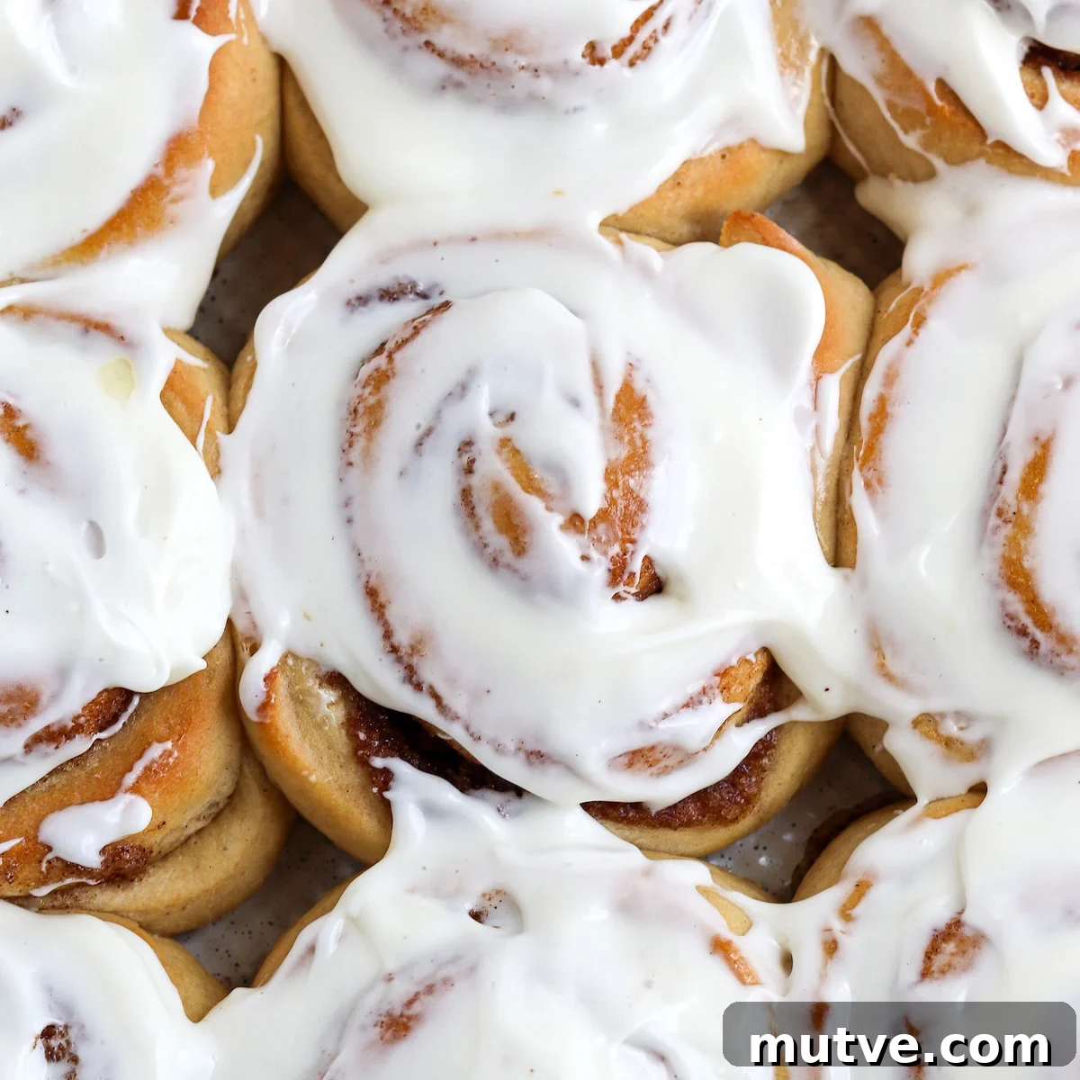 Homemade Whole-Wheat Cinnamon Rolls Recipe 3 close up of frosted roll