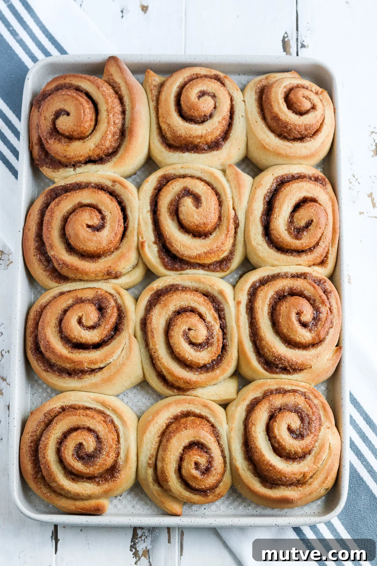 Homemade Whole-Wheat Cinnamon Rolls Recipe 4 a dozen plain baked wheat cinnamon rolls