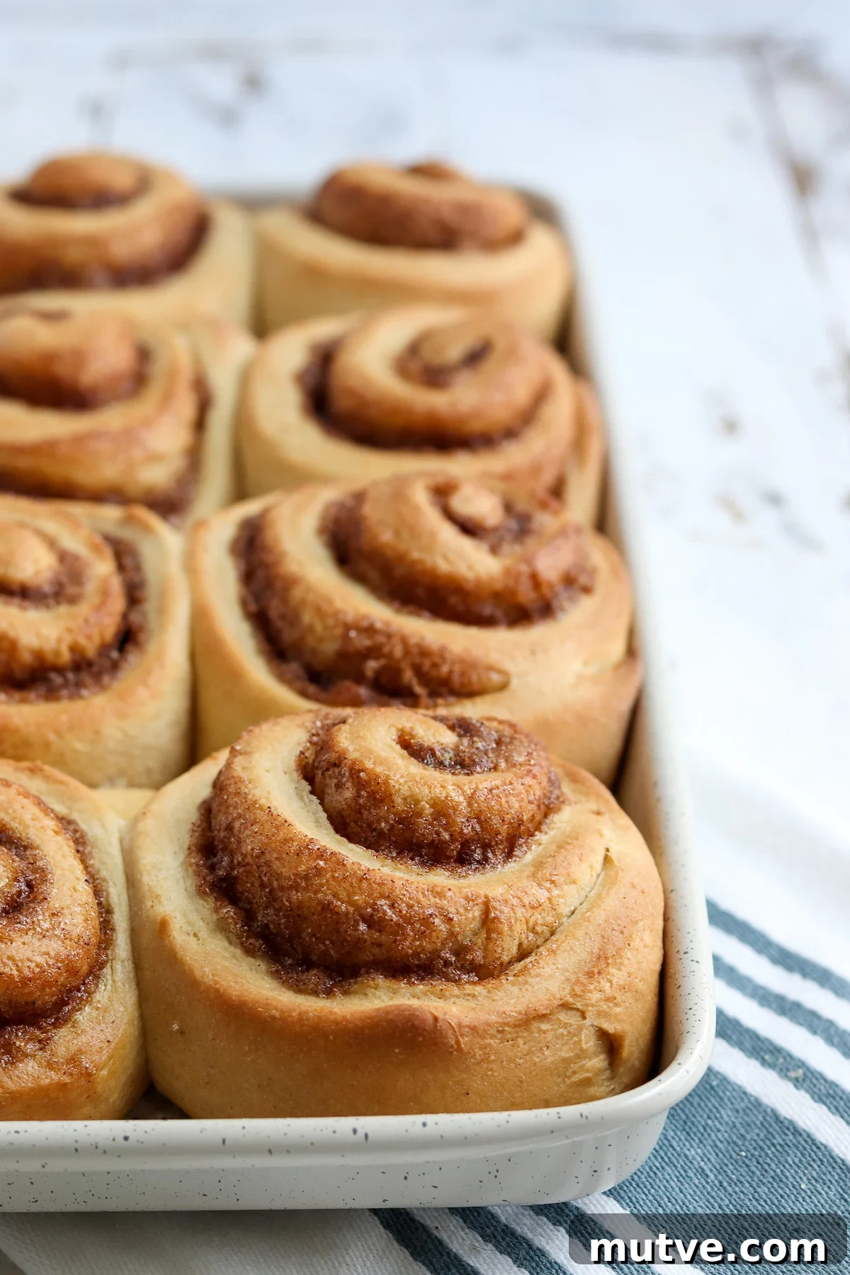 Homemade Whole-Wheat Cinnamon Rolls Recipe 5 plain baked cinnamon rolls on pan