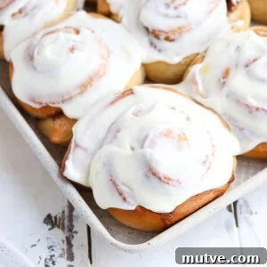 Homemade Whole-Wheat Cinnamon Rolls Recipe 9 angled closeup of whole wheat cinnamon roll with cream cheese frosting on top