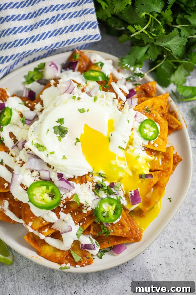 Authentic Red Chilaquiles (Chilaquiles Rojos) Recipe 2 Overhead view of chilaquiles rojos topped with crema, jalapeno slices, red onion, and cilantro with a fried egg on top and the yolk running down on a white ceramic plate on a cement background with a striped linen napkin and bunch of cilantro next to it.
