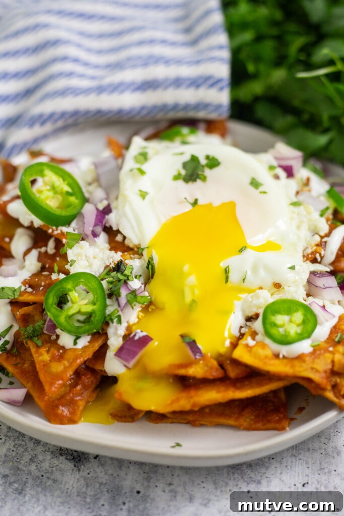 Authentic Red Chilaquiles (Chilaquiles Rojos) Recipe 3 (Red) Chilaquiles Rojos on a white ceramic plate topped with crema, jalapeno slices, red onion, fresh cilantro, cotija cheese, and a fried egg with yolk running down the front. A linen napkin and a bunch of cilantro is behind.