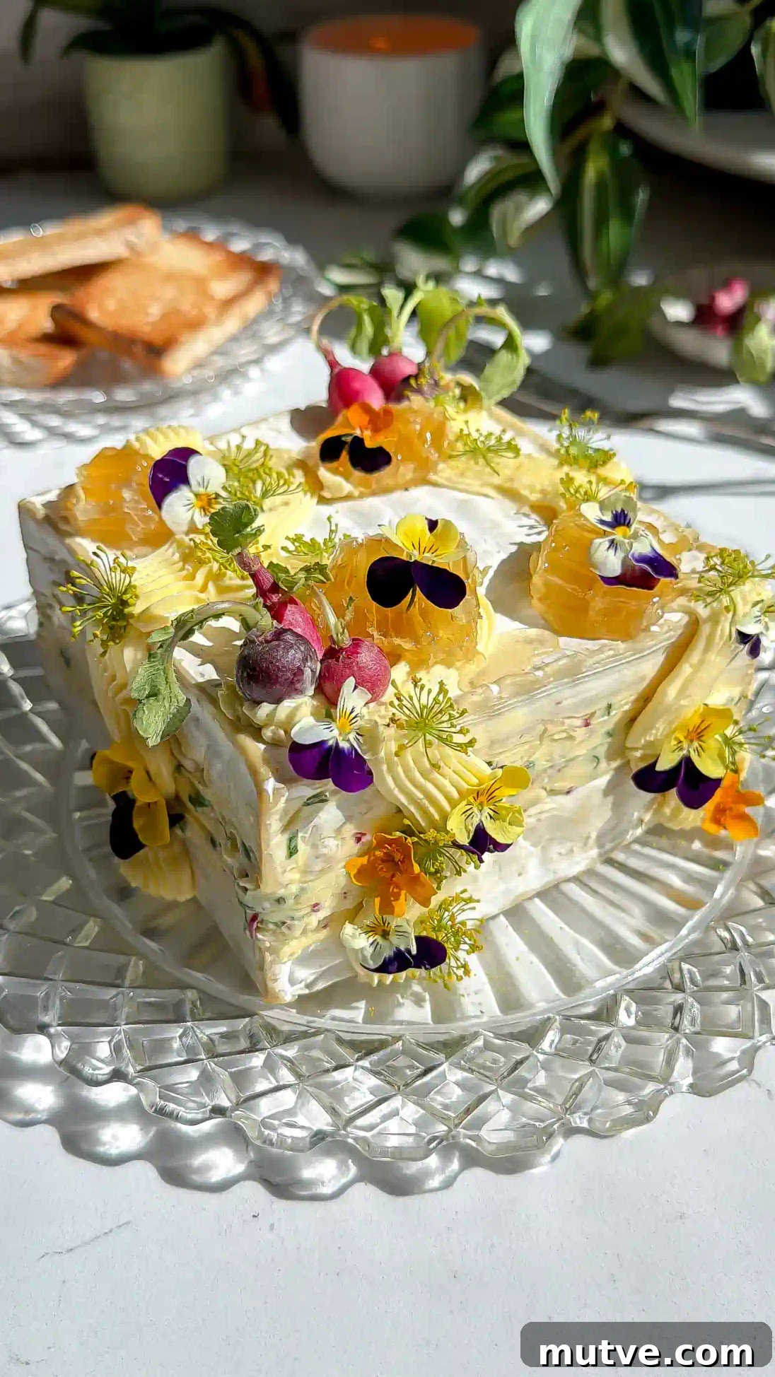 Baked Brie Cake with French Radish Butter Recipe 2 Saint Angel brie square that has been cut in have and layered with a whipped radish butter brie. The brie cake is then frosted with more whipped butter and decorated with mini radishes, edible flowers and honeycomb on a crystal plate.