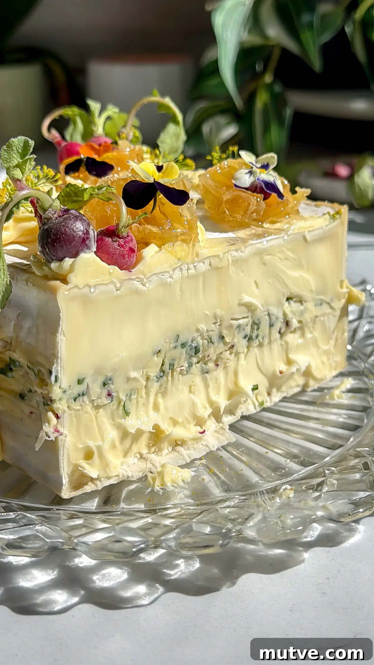 Baked Brie Cake with French Radish Butter Recipe 3 Saint Angel brie square cut in half to show the whipped radish butter filling. The brie cake is frosted and decorated with mini radishes, edible flowers and honeycomb on a crystal plate.