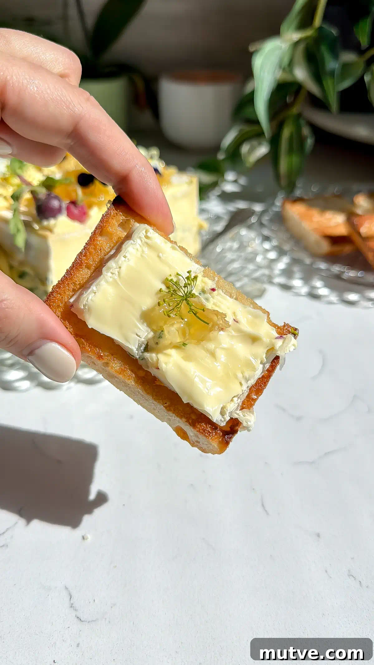 Baked Brie Cake with French Radish Butter Recipe 4 A brie cake with whipped radish brie butter on a slice of toast showing how to eat it. The brie cake and toasted bread slices are out of focus in the background.