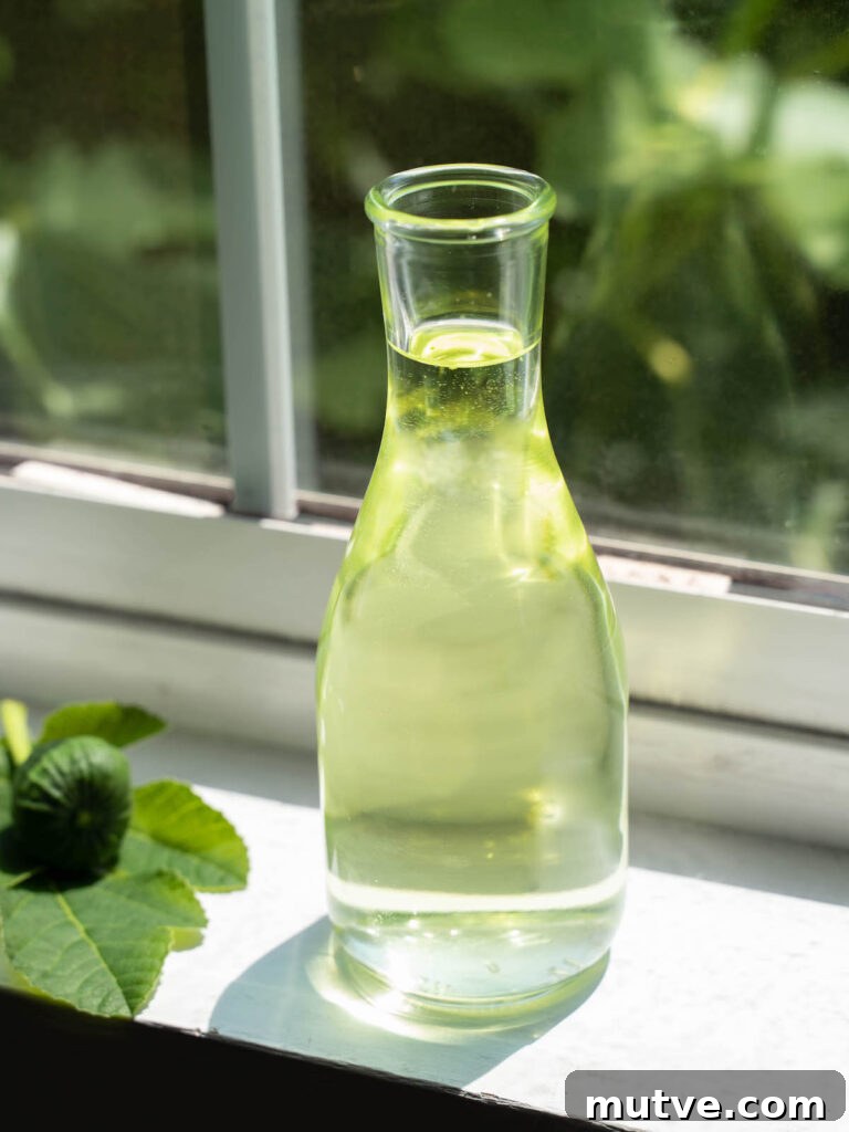 Fig Leaf Syrup Recipe for Cocktails and Desserts 2 Fig leaf syrup on a windowsill