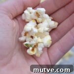 Tangy Dill Pickle Popcorn Recipe 2 img 4802 3