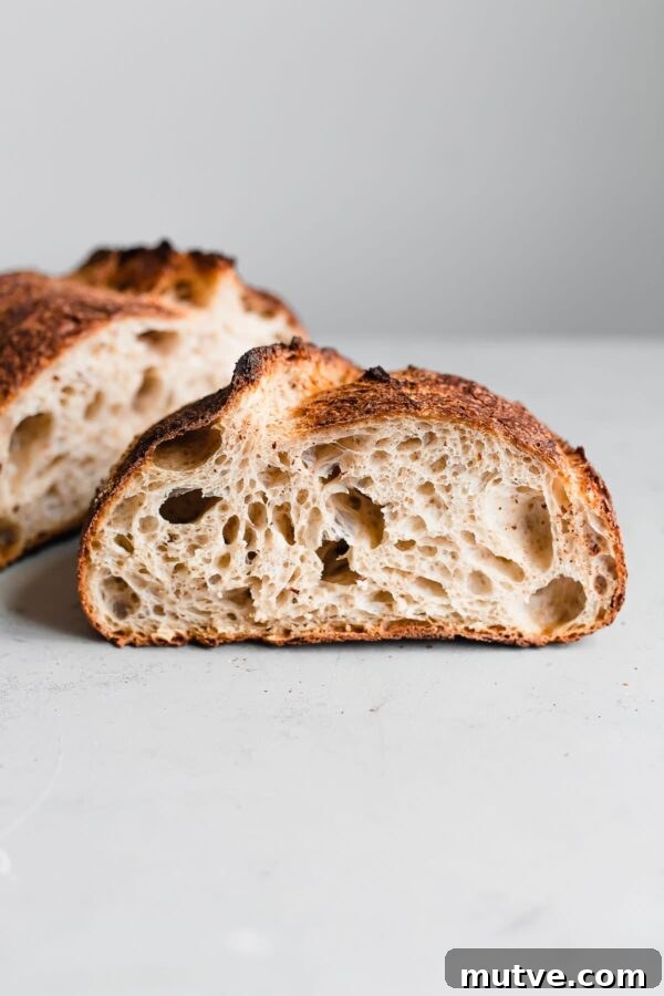 Artisan Sourdough Bread Recipe - my favorite sourdough bread recipe. This naturally leavened bread is made with high protein bread flour and stone ground whole wheat flour. High in hydration, this recipe yields an airy, tender, and open crumb bread. #sourdoughbread #recipe #breadrecipe #artisanbread #abeautifulplate Open Crumb in Artisan Sourdough Loaf