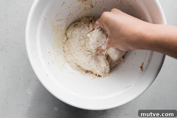 Artisan Sourdough Bread Recipe - mixing starter into autolyse Mixing Sourdough Starter into Autolyse