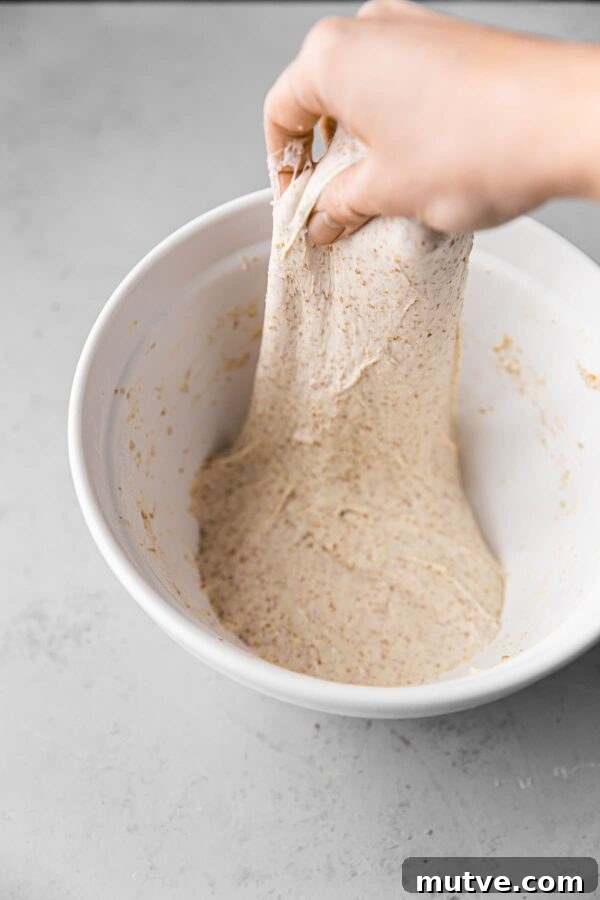 Stretch and fold technique Stretch and Fold Sourdough Dough