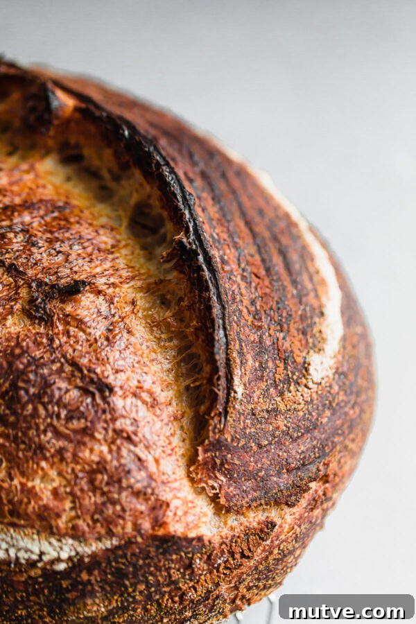 Sourdough Bread Ear