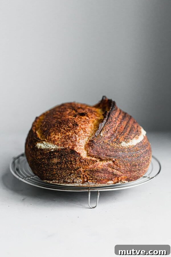 Artisan Sourdough Bread Recipe for Crispy Crust 12 Artisan Sourdough Batard on Cooling Rack