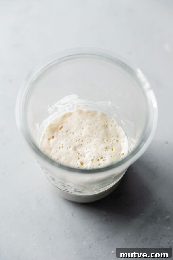 Artisan Sourdough Bread Recipe for Crispy Crust 14 Mature Sourdough Starter