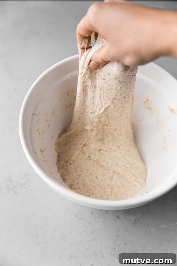 Stretch and Fold Sourdough Bread Dough