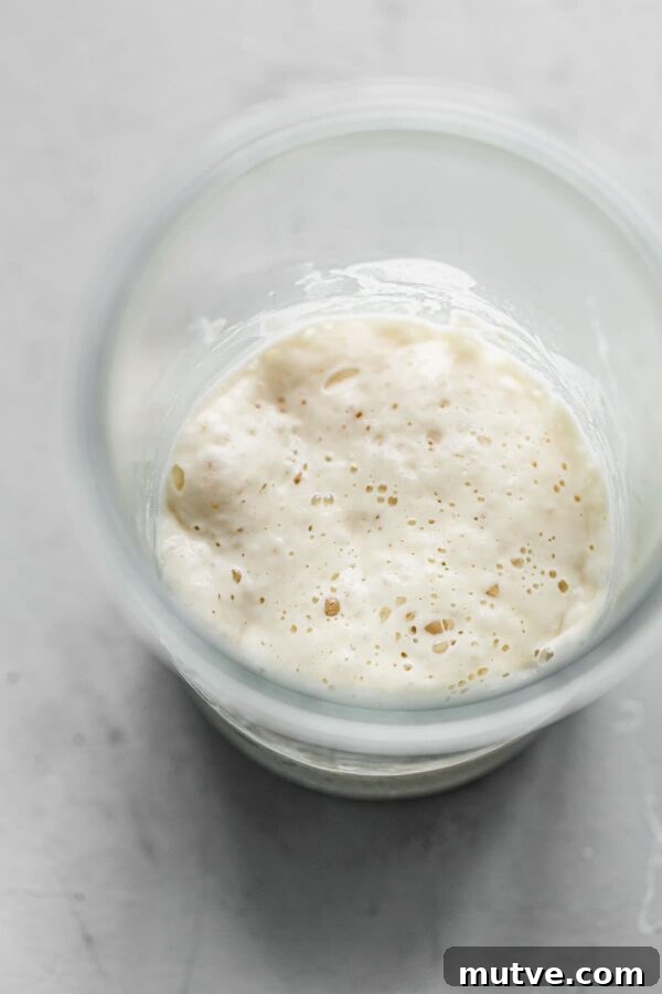 Artisan Sourdough Bread Recipe - my favorite sourdough bread recipe. This naturally leavened bread is made with high protein bread flour and stone ground whole wheat flour. High in hydration, this recipe yields an airy, tender, and open crumb bread. #sourdoughbread #recipe #breadrecipe #artisanbread #abeautifulplate Sourdough Starter in Jar