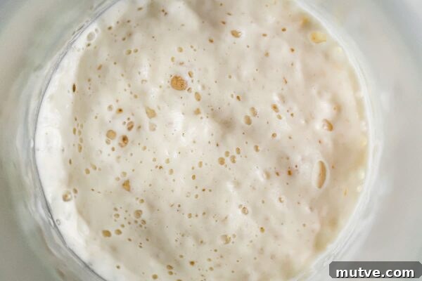 Artisan Sourdough Bread Recipe - my favorite sourdough bread recipe. This naturally leavened bread is made with high protein bread flour and stone ground whole wheat flour. High in hydration, this recipe yields an airy, tender, and open crumb bread. #sourdoughbread #recipe #breadrecipe #artisanbread #abeautifulplate Homemade Sourdough Starter