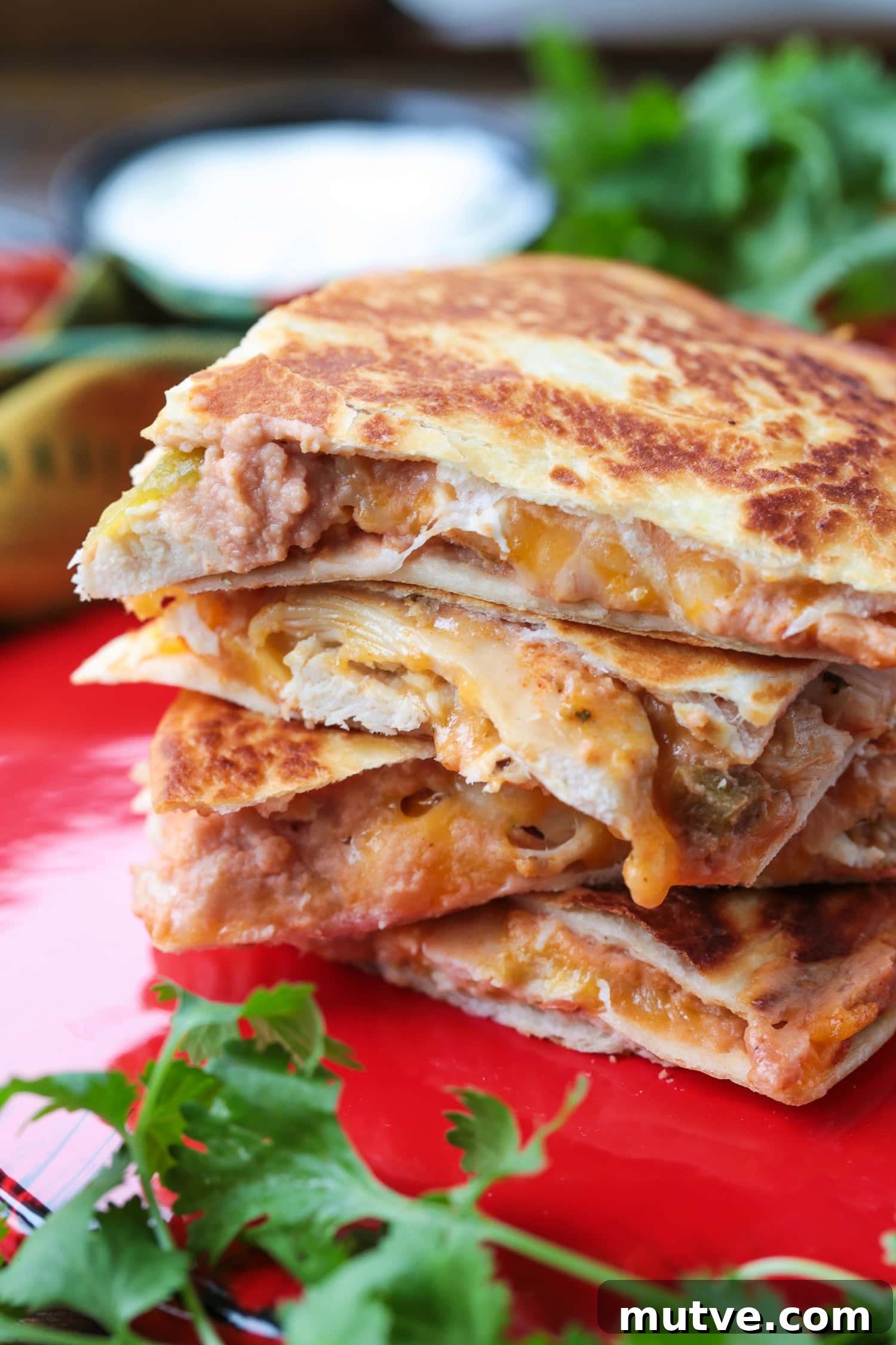 Chicken quesadillas on a plate chicken quesadillas stacked on a red plate