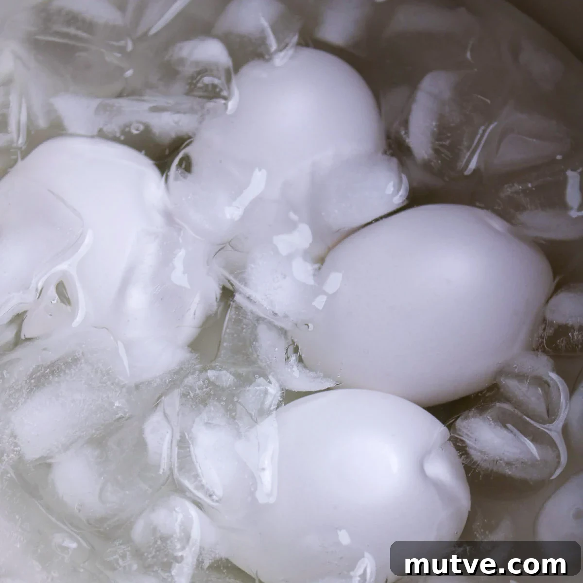 How to Make Air Fryer Eggs: Fluffy, Hands-Off Breakfast 5 Eggs in the ice bath.