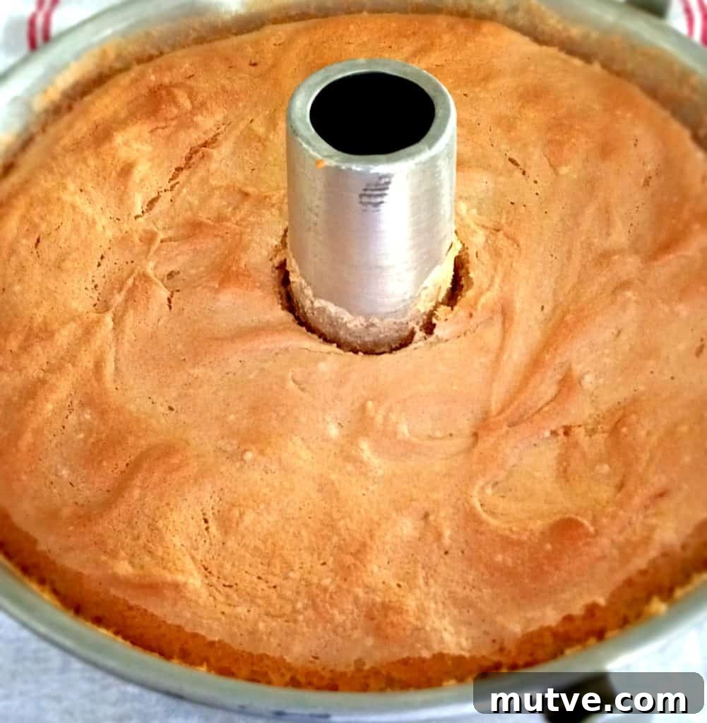 Classic Amish Angel Food Cake Recipe from Scratch 4 angel food cake