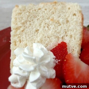 Classic Amish Angel Food Cake Recipe from Scratch 6 Amish vanilla angel food cake with berries