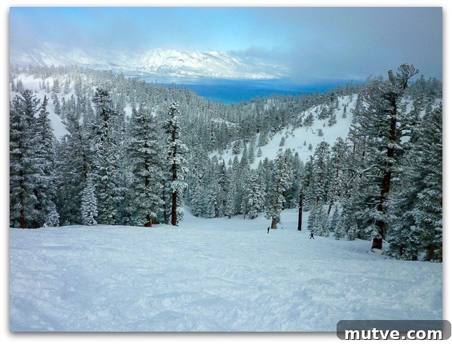 tahoe-heavenly