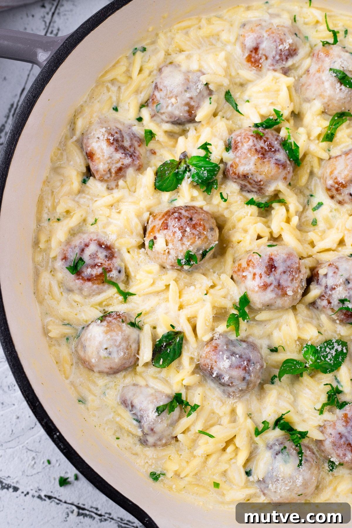 One-Pan Chicken Meatballs with Orzo Recipe 6 Tasty Chicken Meatballs with Orzo