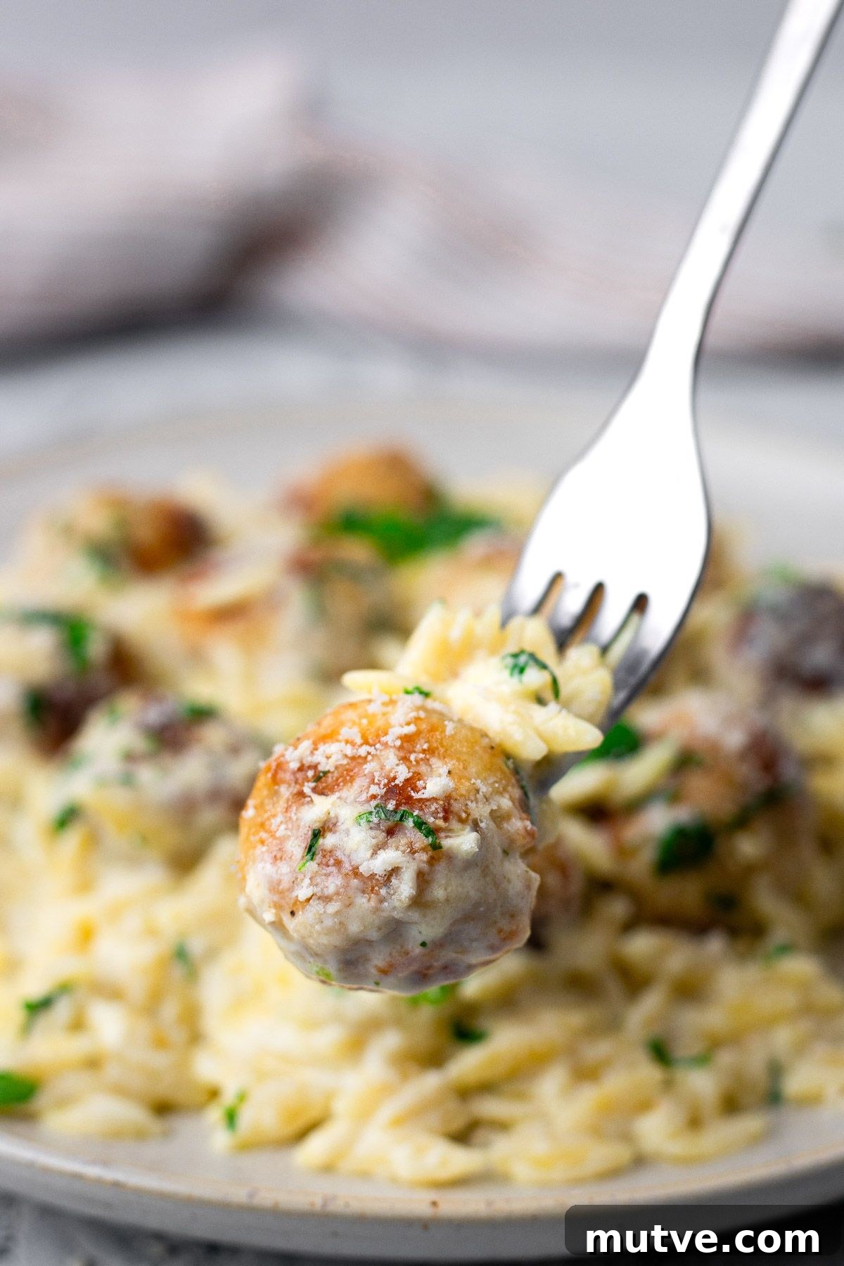 One-Pan Chicken Meatballs with Orzo Recipe 7 High Protein Chicken Meatballs with Orzo