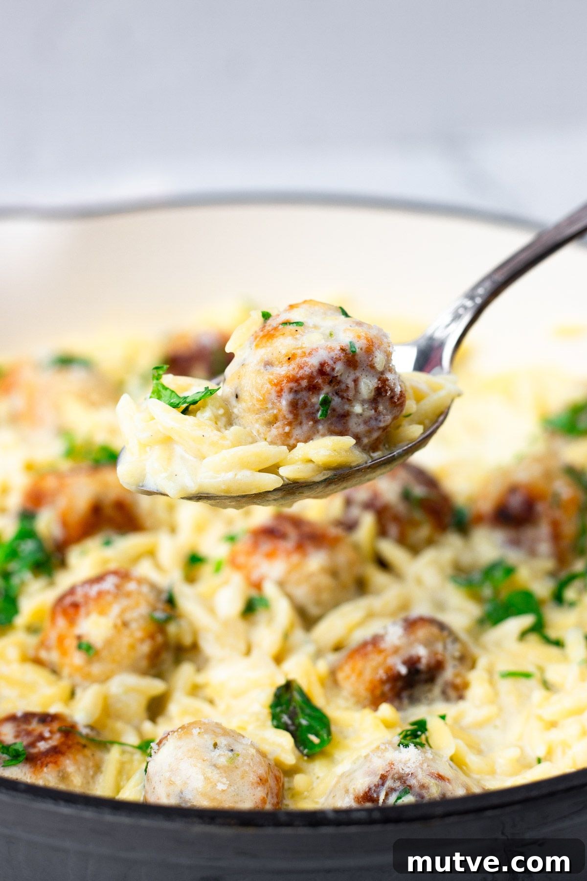 One-Pan Chicken Meatballs with Orzo Recipe 3 Savory Chicken Meatballs with Orzo