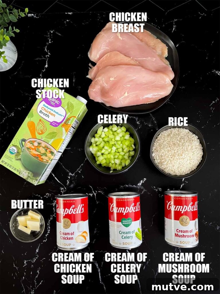 Chicken and rice casserole recipe ingredients on a dark surface.