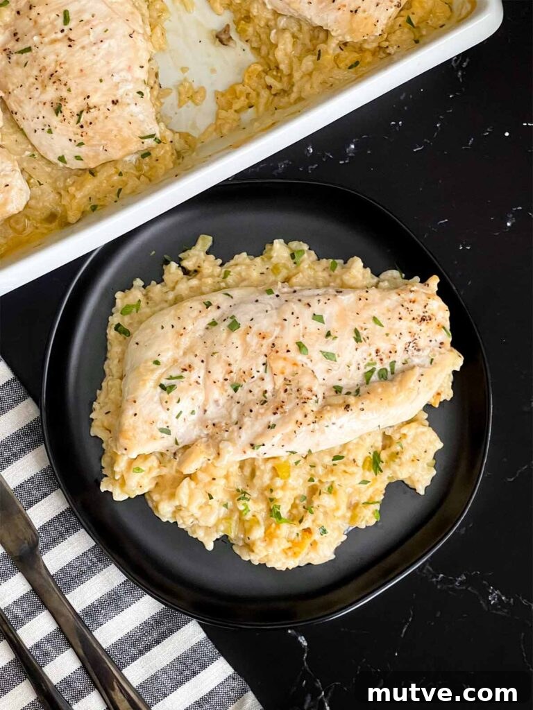 Chicken and rice casserole garnished with chopped parsley on a dark plate on a dark surface.