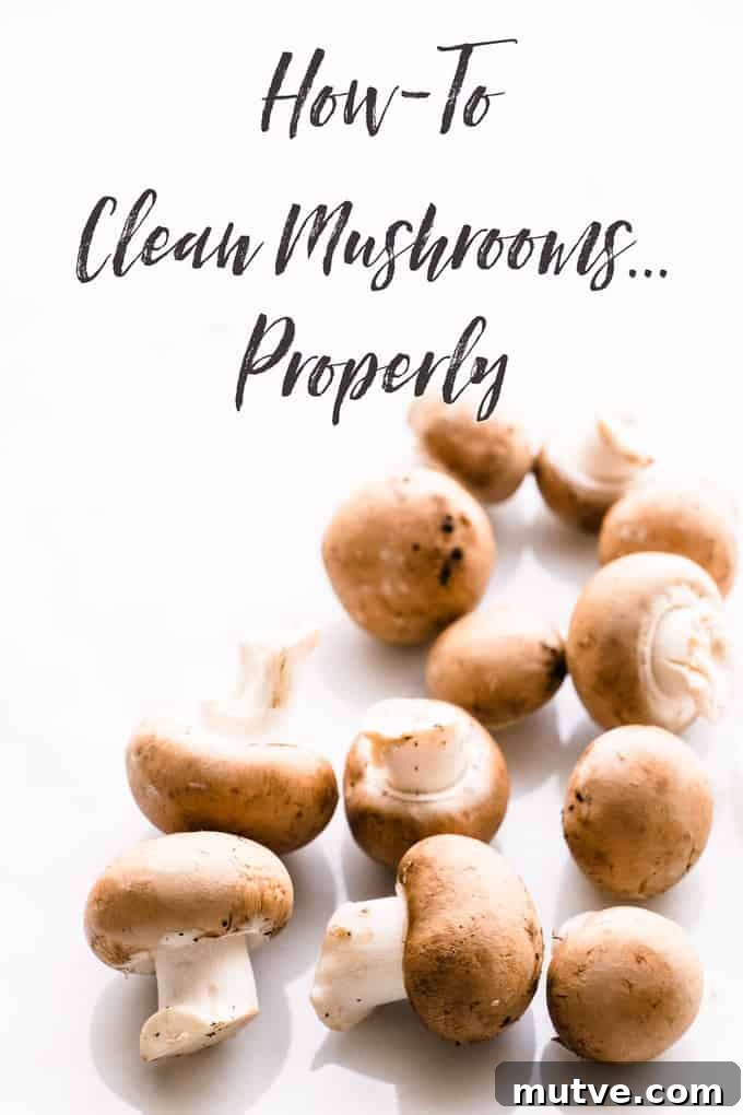 How to Clean Mushrooms: Techniques to Remove Dirt and Grit 2 How to Clean Mushrooms Properly