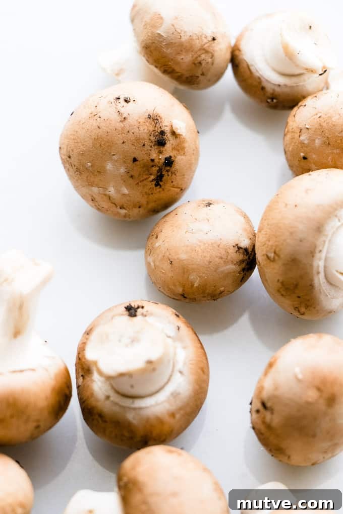 How to Clean Mushrooms: Techniques to Remove Dirt and Grit 3 How-To Clean Mushrooms Properly