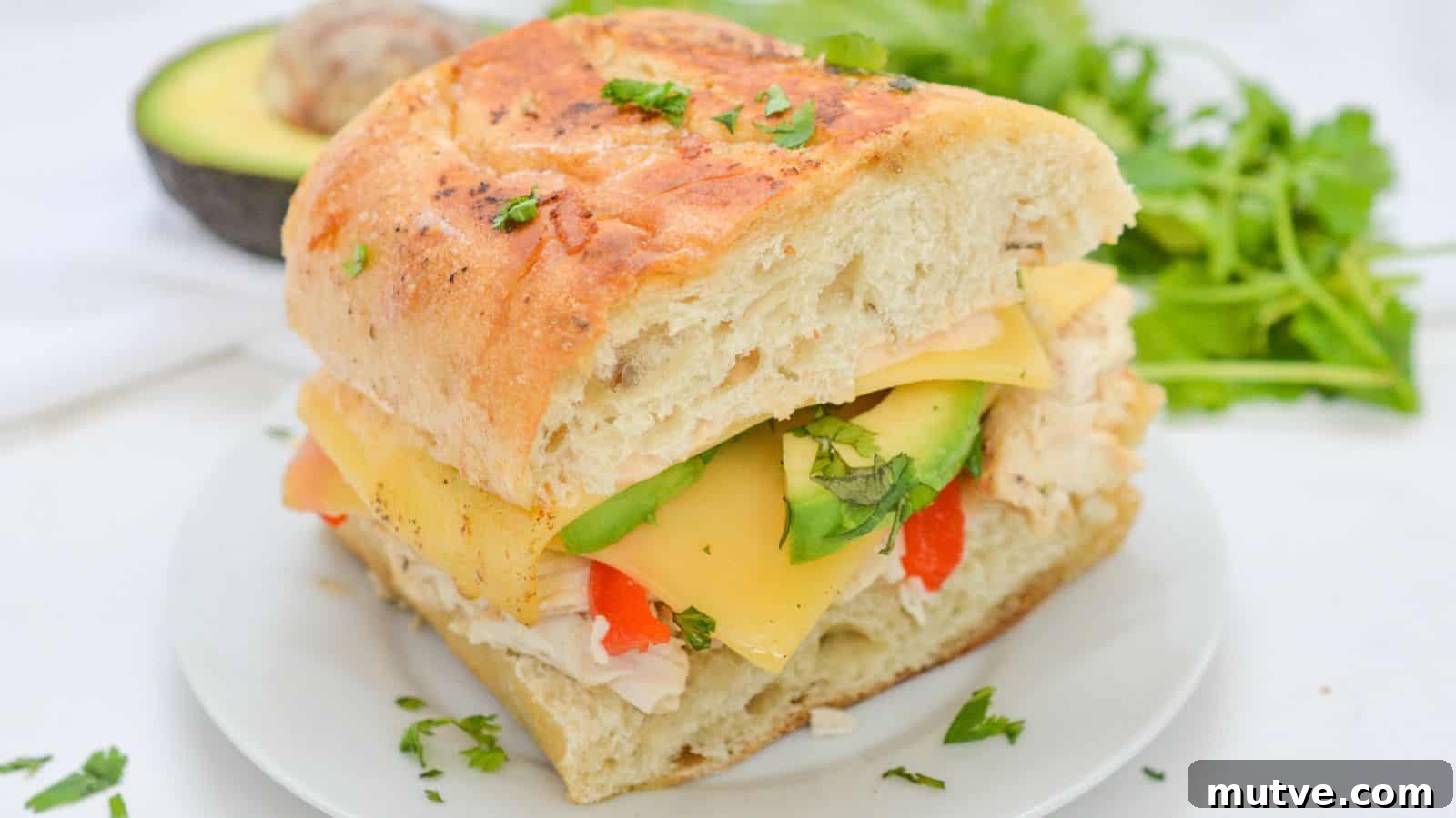 40 End-of-Summer Cookout Recipes to Celebrate Summer's Finale 13 A chicken and cheese sandwich with avocado on a white plate.