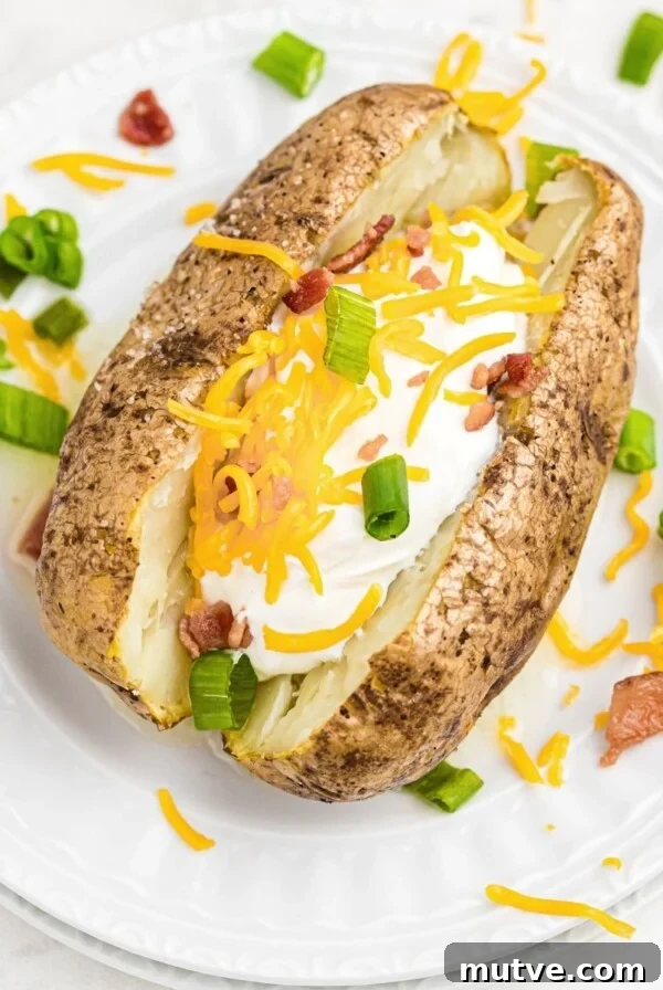 Baked potato stuffed with cheese, sour cream, bacon crumbles, on a white plate with chopped green onion and crumbles scattered on the table.
