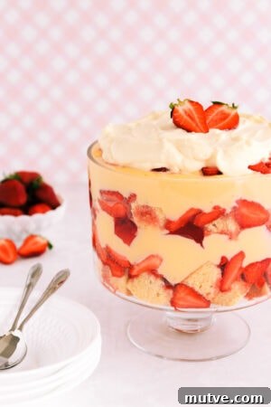 Gluten free trifle in a footed glass bowl on a pink background.
