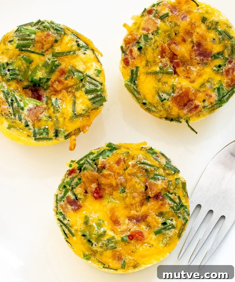 Bacon and Egg Breakfast Muffins Recipe 8 Bacon egg muffins on a white plate.