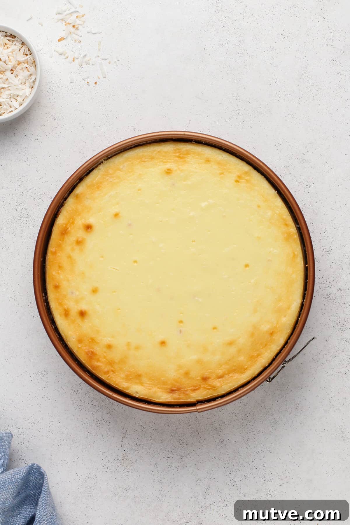 Creamy Coconut Cheesecake Recipe 12 Baked and chilled coconut cheesecake in a springform pan.