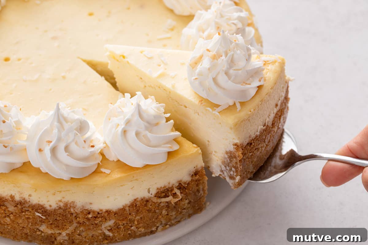 Creamy Coconut Cheesecake Recipe 13 Cake server lifting a slice of coconut cheesecake from a cake plate holding the rest of the cheesecake.