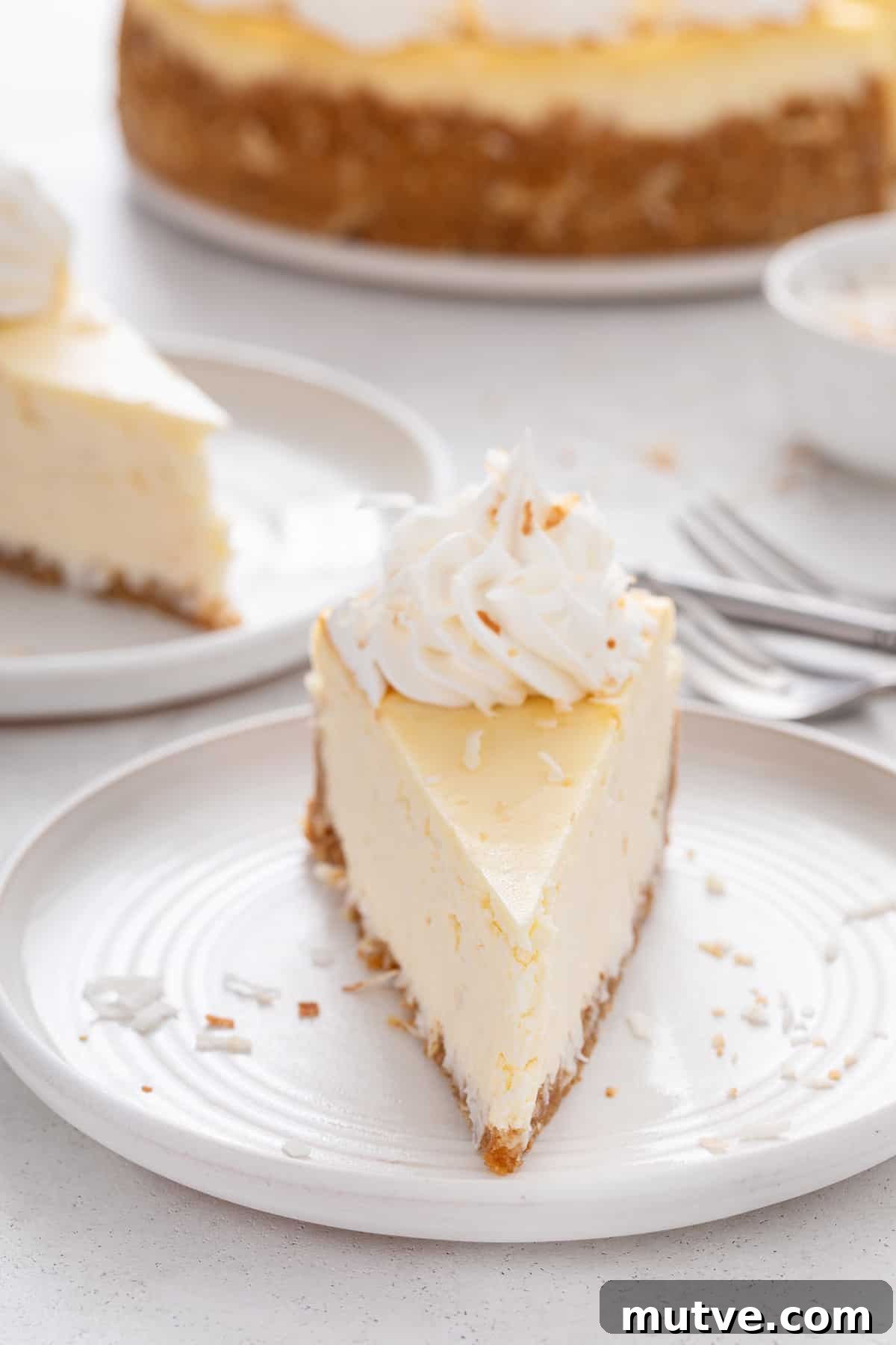 Creamy Coconut Cheesecake Recipe 14 Front view of a slice of coconut cheesecake on a white plate.