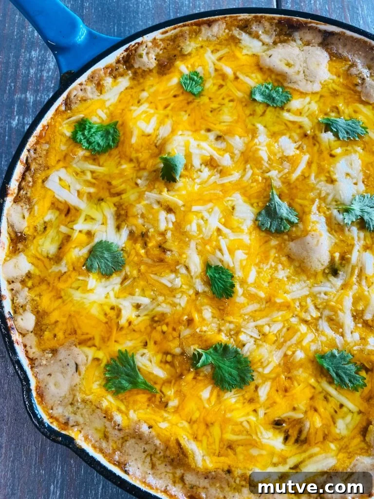 Spicy Caribbean Jerk Chicken Dip Recipe 6 Caribbean Jerk Chicken Dip