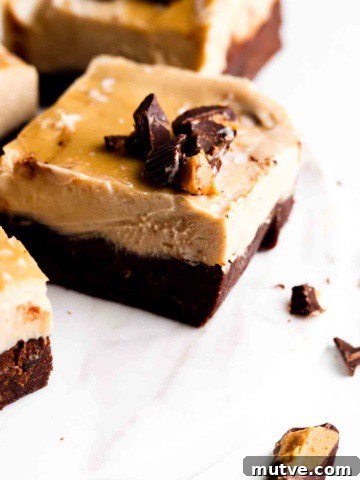 Vegan Peanut Butter Cheesecake Bars