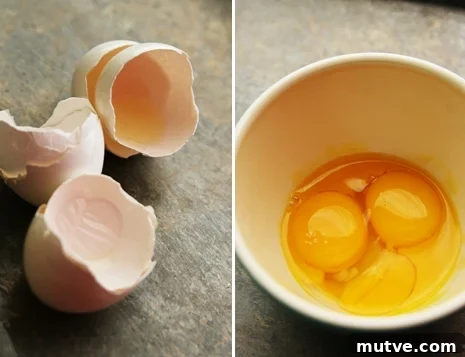 eggyolks egg yolks for cookies