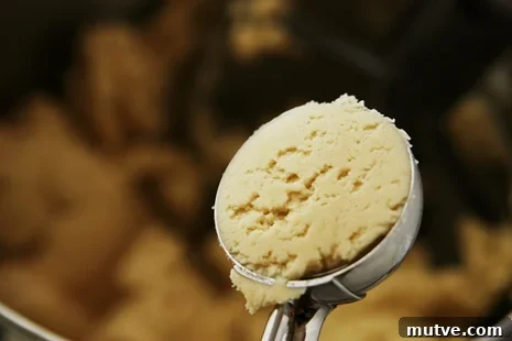 cracked cookie scoop cookie scoop